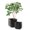Hnedý kvetináč CUBE PLANTER v rôznych veľkostiach