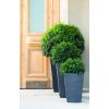 17192300 rattan style planter small 3525 rgb