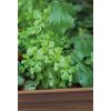 Zahradny kvetinac deco aggrandized3