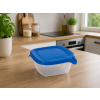 Dóza na potraviny FRESH & GO 0,25L transparentná modrá