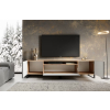 NOEMI tv stolik dub artisan cierny otvoreny